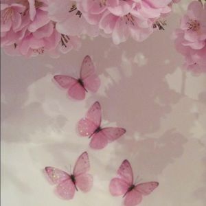 Meet your Posher, Mariel